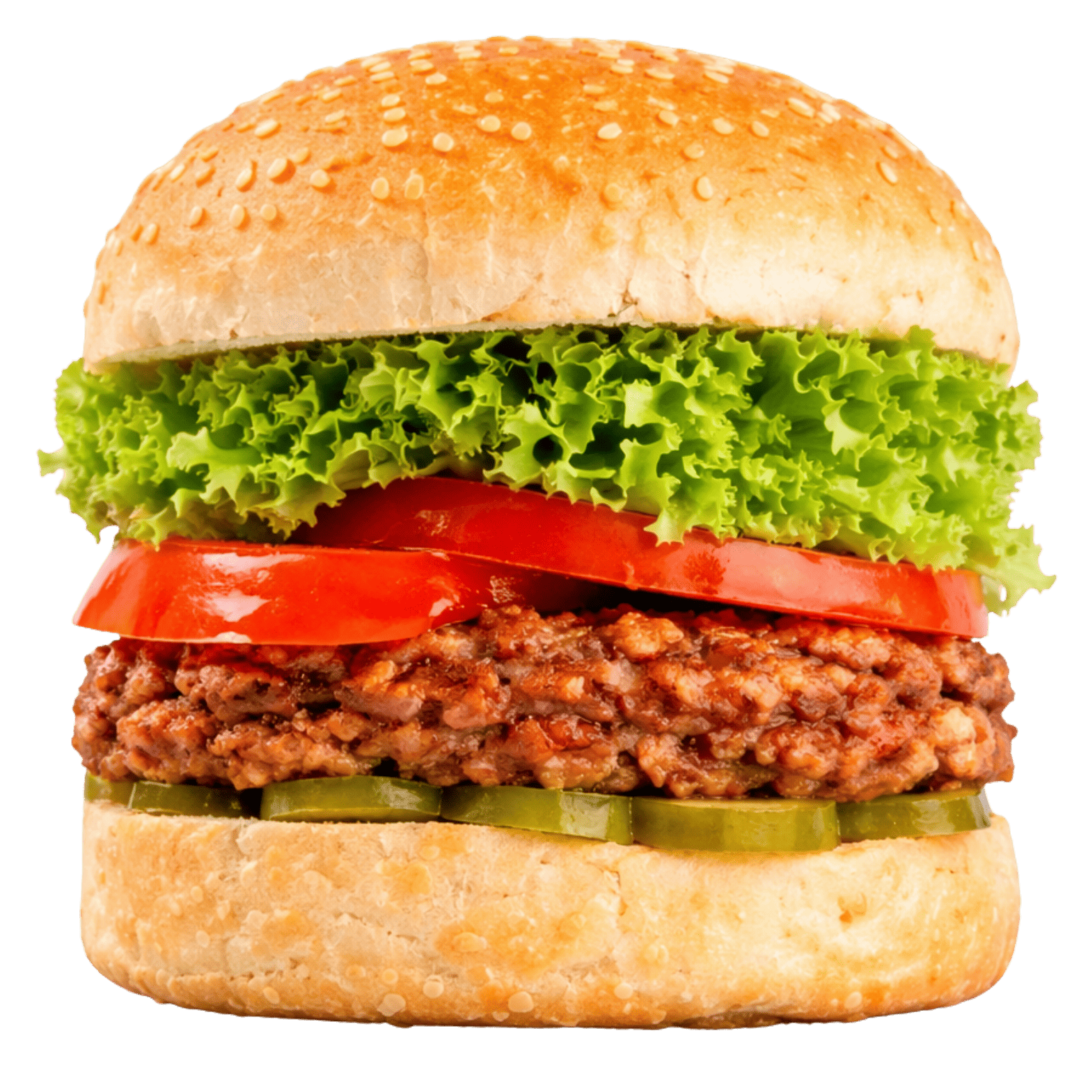 Rendang Burger